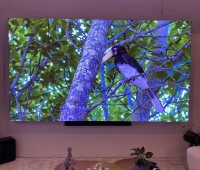 PAINEL-INDOOR-qxvzr92sjgz6gpeo8efn1bq1e6y4ftpn5ecll179nw